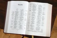 NIV, Thompson Chain-Reference Bible, Handy Size, Red Letter Edition, Comfort Print