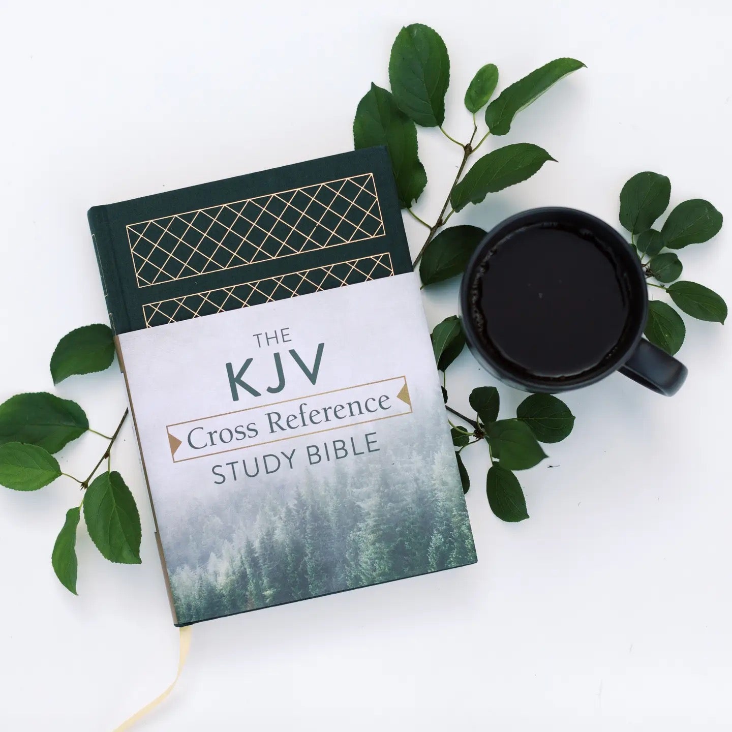 Kjv Cross Reference Study Bible [Diamond Spruce]