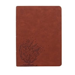 CSB Experiencing God Bible, Burnt Sienna LeatherTouch, Indexed