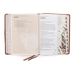 CSB Experiencing God Bible, Burnt Sienna LeatherTouch, Indexed
