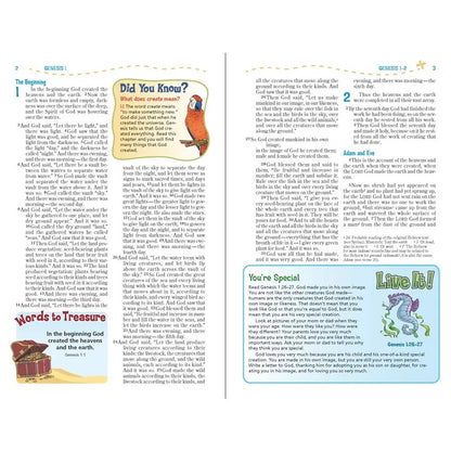 NIV, Adventure Bible, Full Color Interior