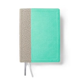 CSB Lifeway Women's Bible, Indexed,  Gray/Mint LeatherTouch