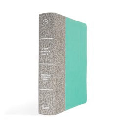 CSB Lifeway Women's Bible, Indexed,  Gray/Mint LeatherTouch