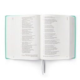 CSB Lifeway Women's Bible, Indexed,  Gray/Mint LeatherTouch