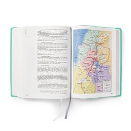 CSB Lifeway Women's Bible, Indexed,  Gray/Mint LeatherTouch