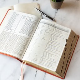 CSB Study Bible, Coral LeatherTouch, Indexed