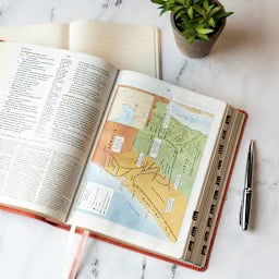 CSB Study Bible, Coral LeatherTouch, Indexed