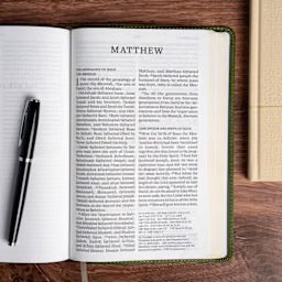 NASB Personal Size Giant Print Bible, Olive LeatherTouch