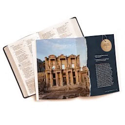 Footsteps of Paul - Bible Study Book with Video Access: Bold Brotherhood, Gospel Mission