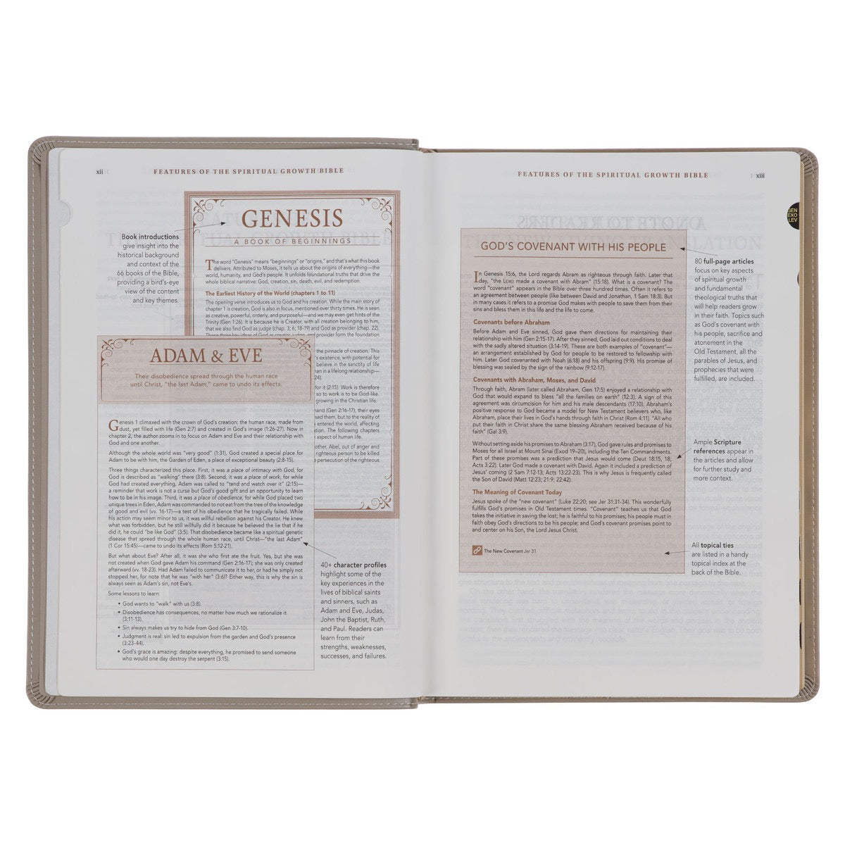 Embroidered Taupe Faux Leather Spiritual Growth Bible