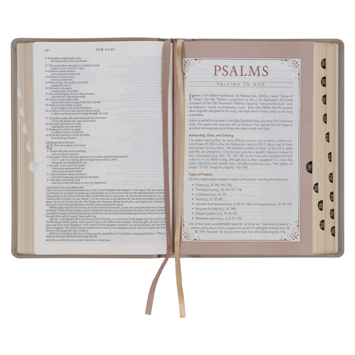 Embroidered Taupe Faux Leather Spiritual Growth Bible