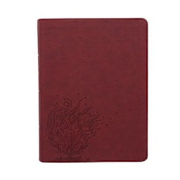 CSB Experiencing God Bible, Burnt Sienna LeatherTouch, Indexed