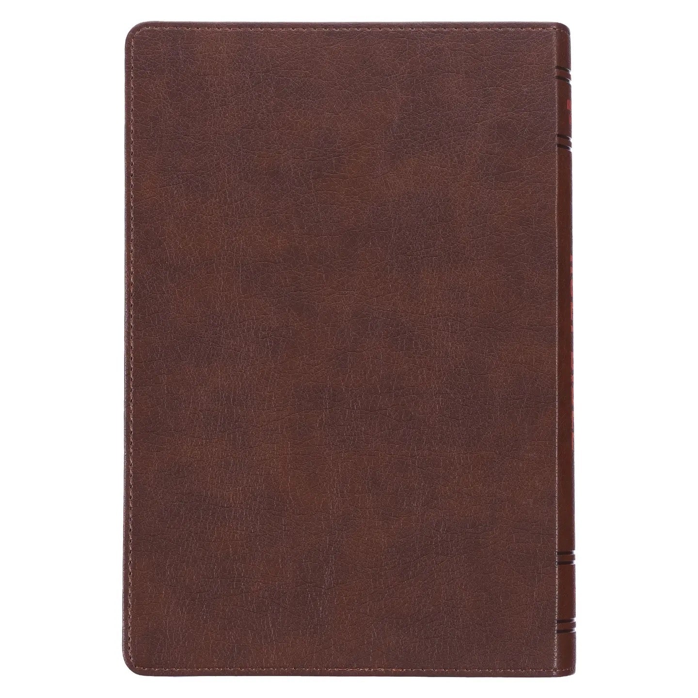 Lion Brown Faux Leather Kid's King James Version Bible