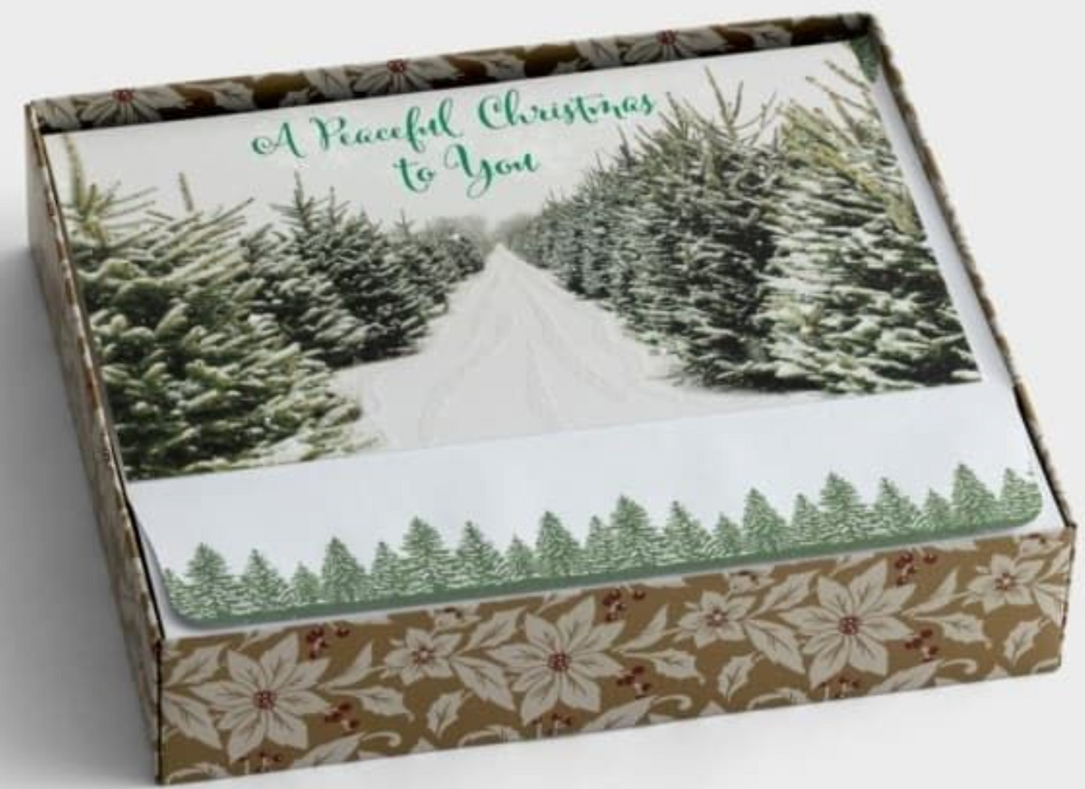 DaySpring Peaceful Christmas to You - 18 Inspirational Christmas Boxed Cards & Envelopes, KJV