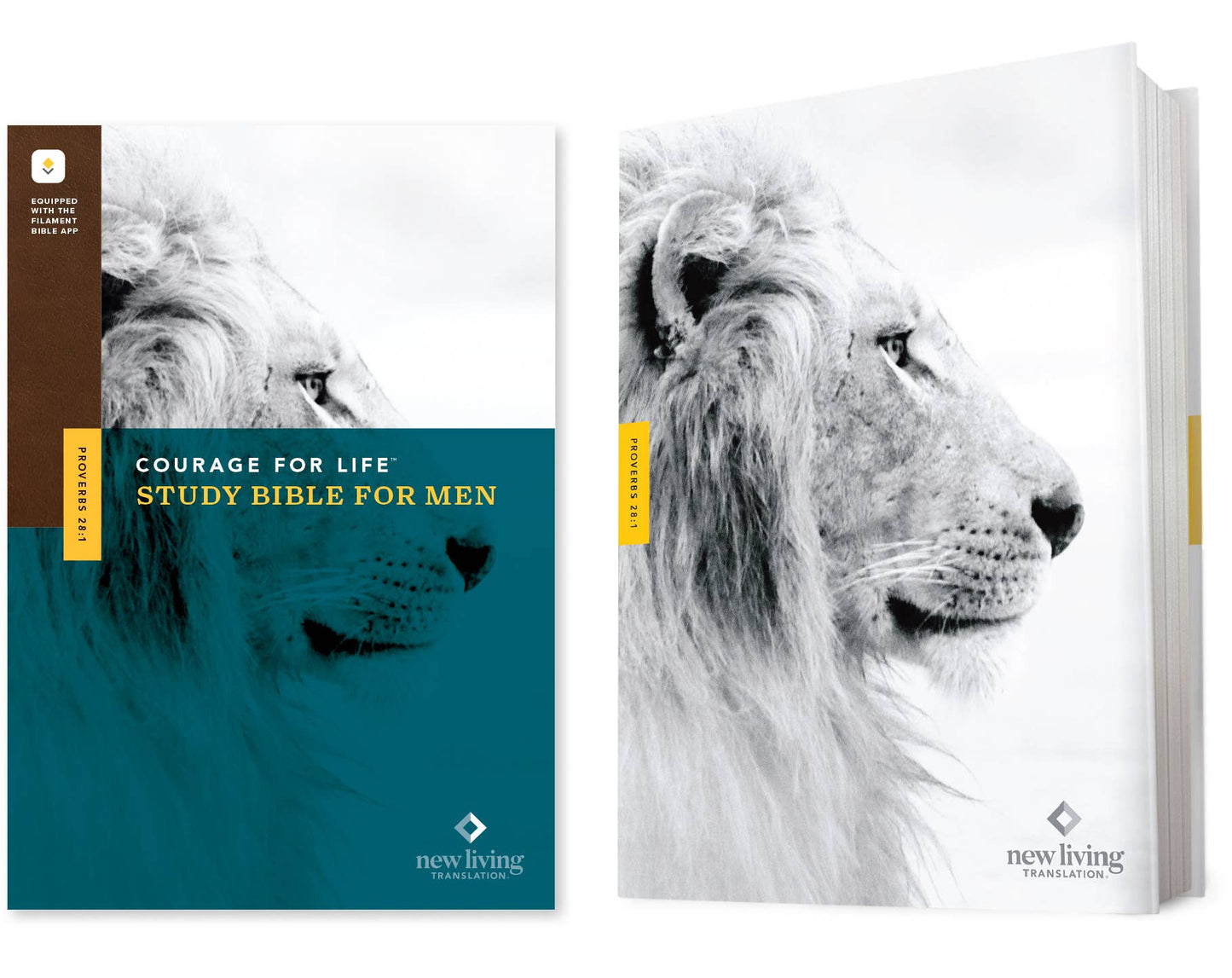 NLT Courage For Life Study Bible for Men, Filament Enabled