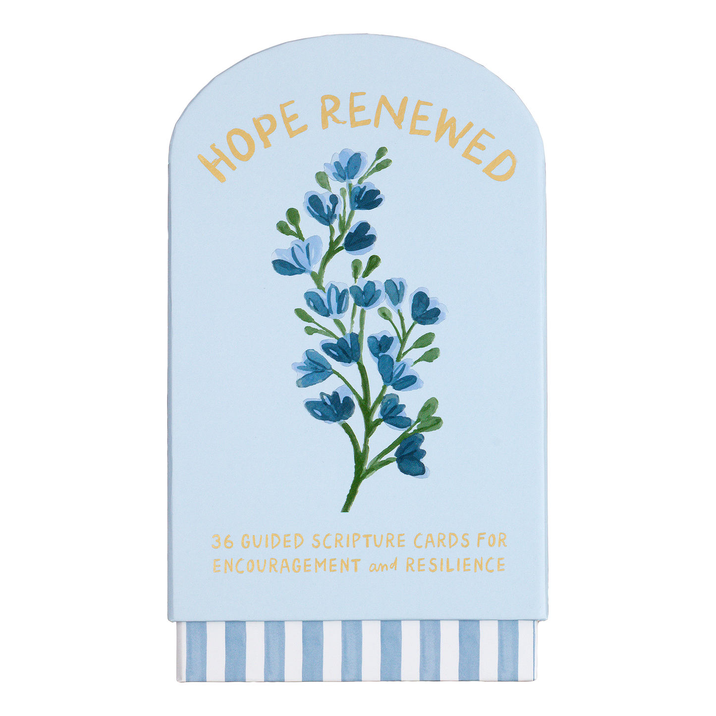 Guided Cards w/Stand Hope Renewed (Blue)