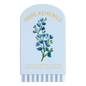 Guided Cards w/Stand Hope Renewed (Blue)