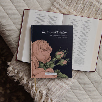 The Way of Wisdom | A 31-Day Devotional Through the Book of Proverbs