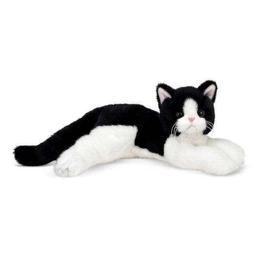 Boaz the Black & White Cat