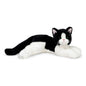 Boaz the Black & White Cat