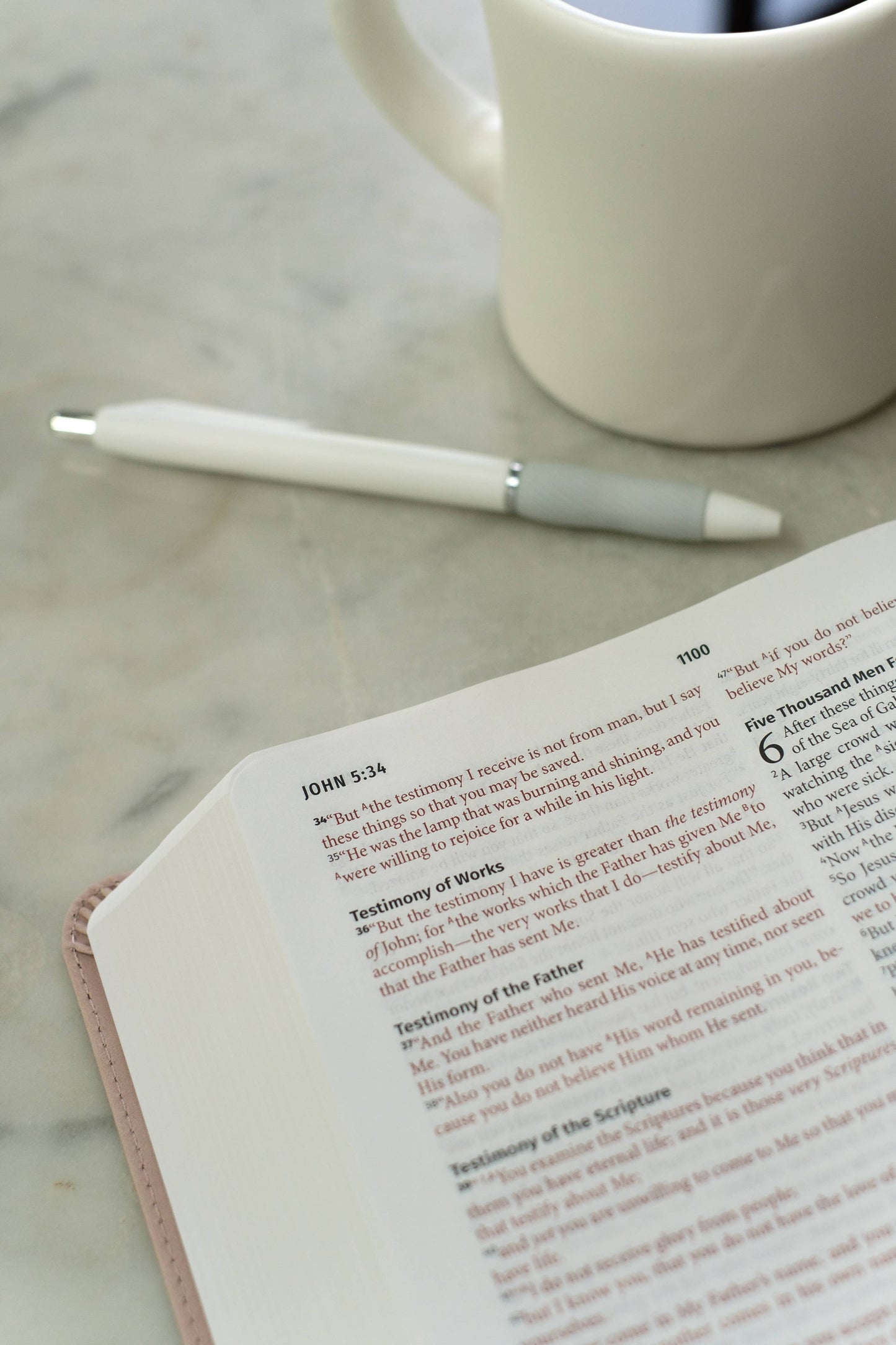 Light for Life NASB Study Bible (Blush Bouquet)