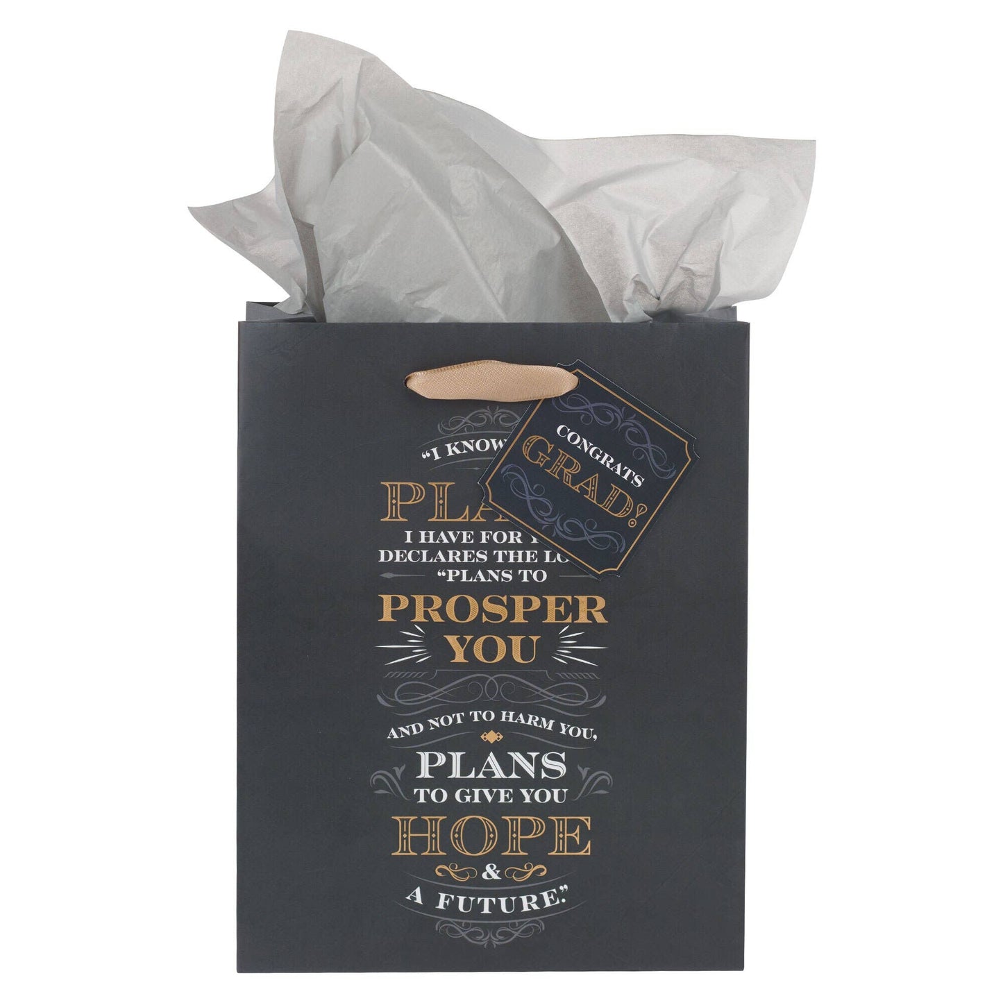 Gift Bag Medium I Know the Plans Jer. 29:11