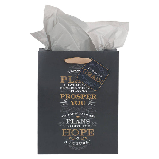 Gift Bag Medium I Know the Plans Jer. 29:11