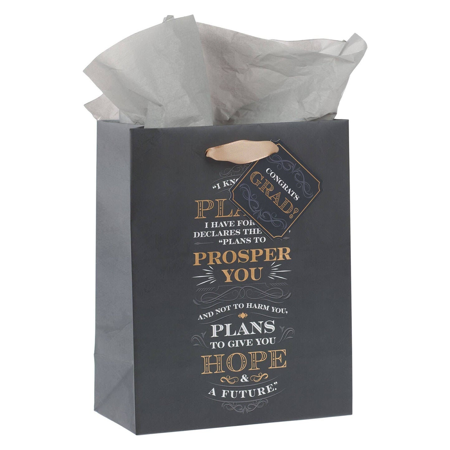 Gift Bag Medium I Know the Plans Jer. 29:11