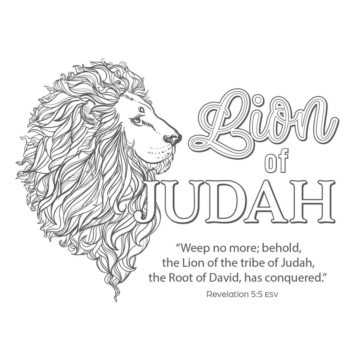 Coloring Cards Boxed The Names of Jesus