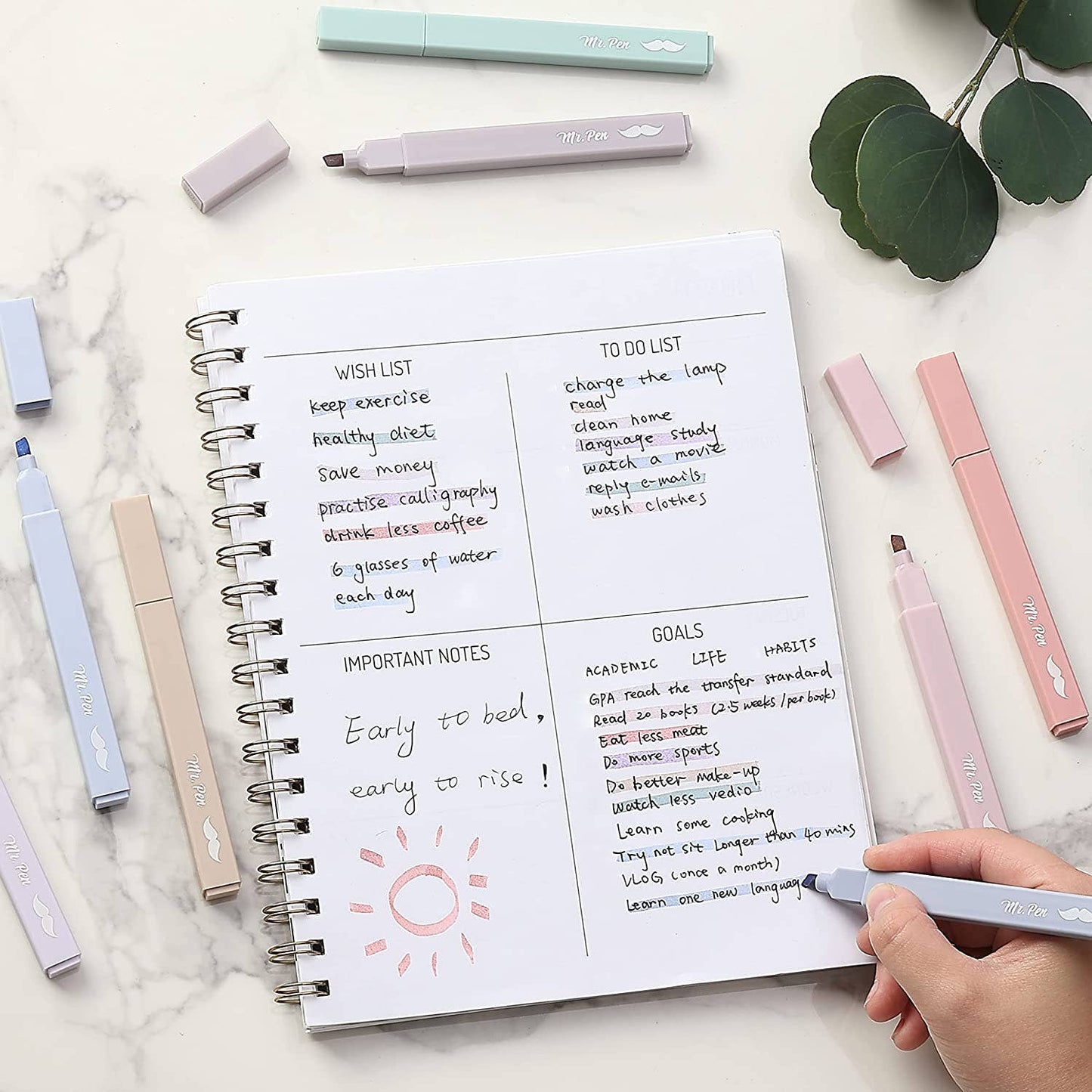 Mr. Pen Aesthetic Highlighters & Black Ballpens Set