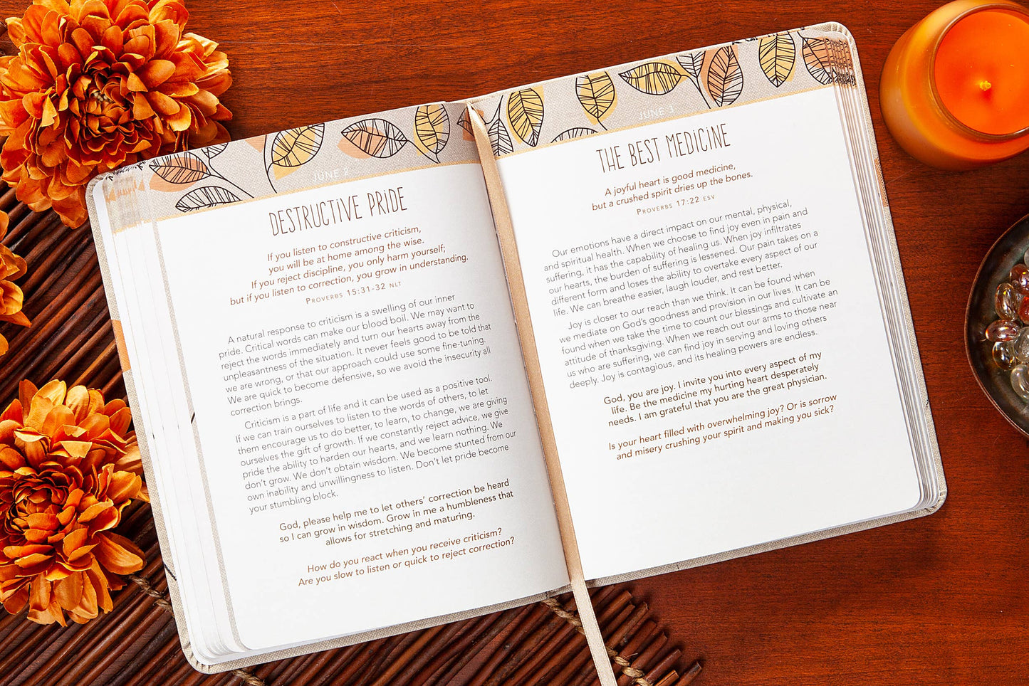 For I Know the Plans (Daily Devotional)